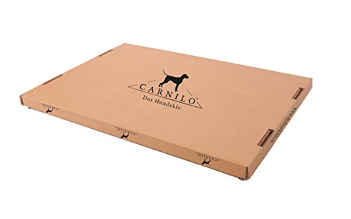 CARNILO - Das erste Hundeklo aus echtem Rasen -